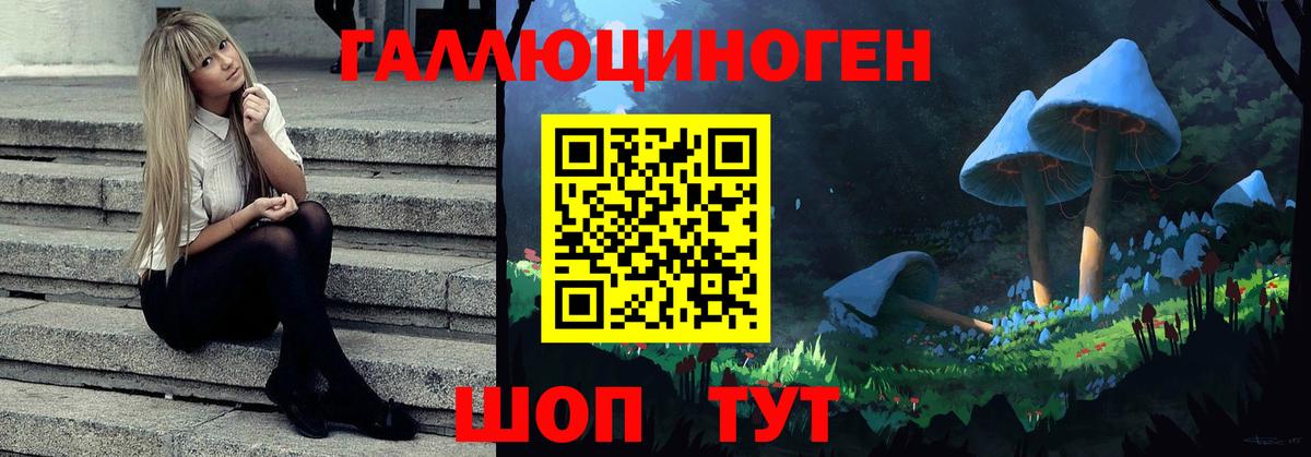 Псилоцибиновые грибы MAGIC MUSHROOMS  Вход с VPN  Орск 